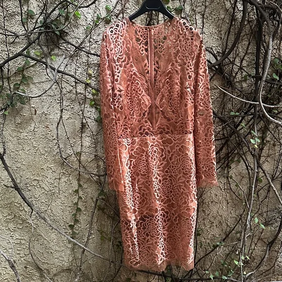 Michelle Mason Elegant Lace Dress in Coral Michelle Mason Elegant Lace Dress in Coral